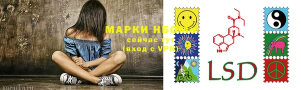 шишки Балабаново